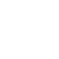 Digital Skills Hub logo light